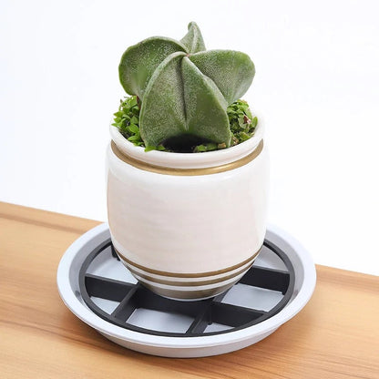 Flowerpot Riser Tray – Lift Pots for Better Airflow & Cleaner Surfaces