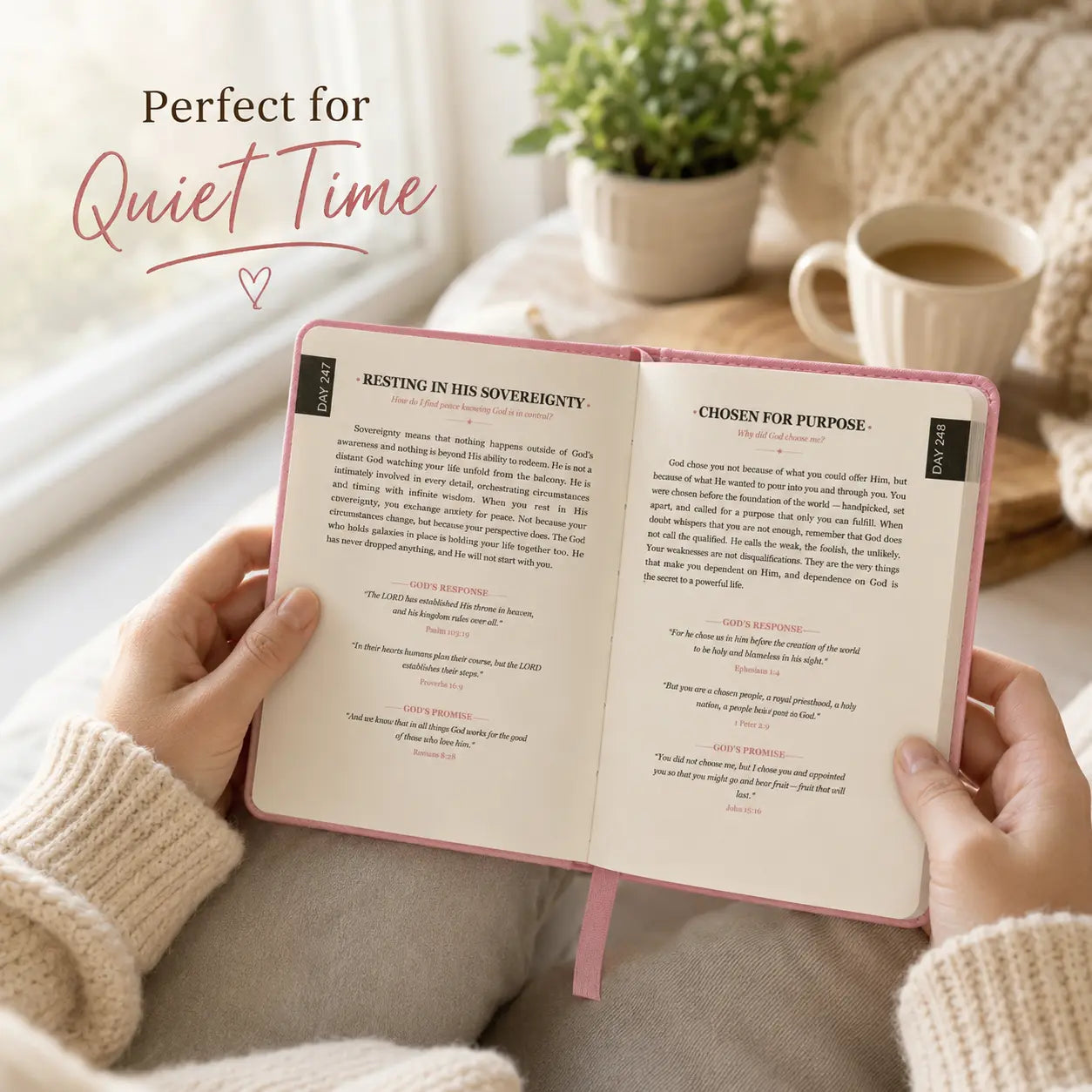One Minute with God Women’s 365-Day Study Bible