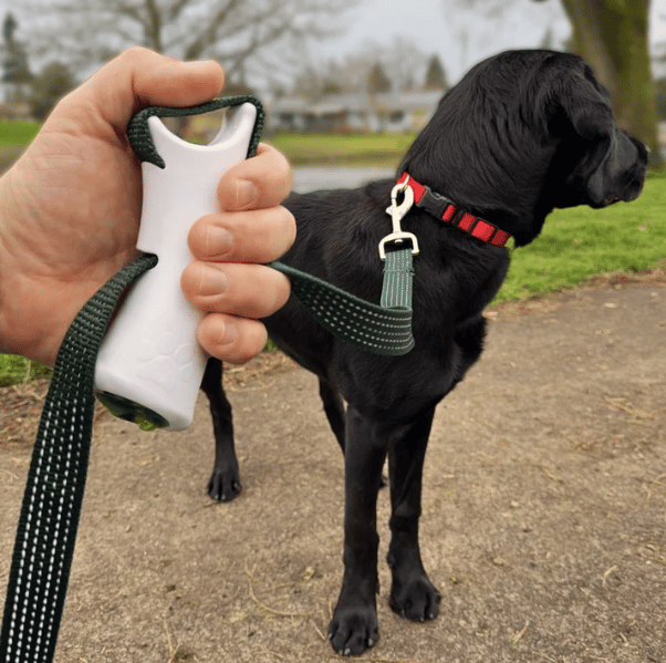 🐕‍🦺Quick-Control Dog Leash - Adjustable Traffic Leash with Reflective Design