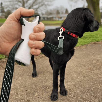 🐕‍🦺Quick-Control Dog Leash - Adjustable Traffic Leash with Reflective Design