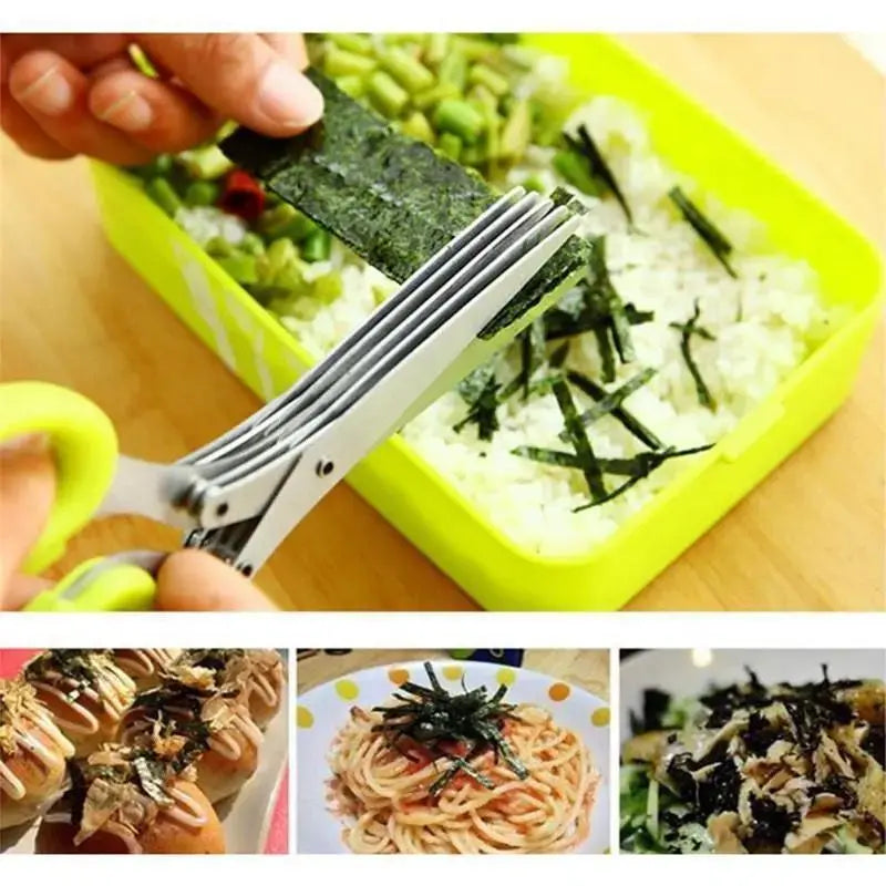Stainless Steel 5 Blades Scallion Cutter Scissors