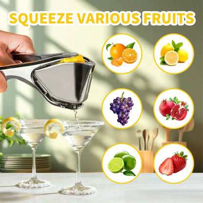 Stainless Steel Citrus Juicer
