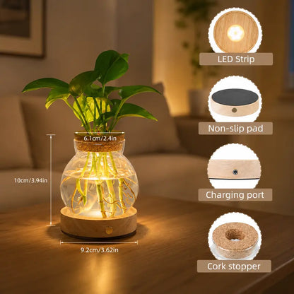 LED Plant Propagation Vase with Wooden Base