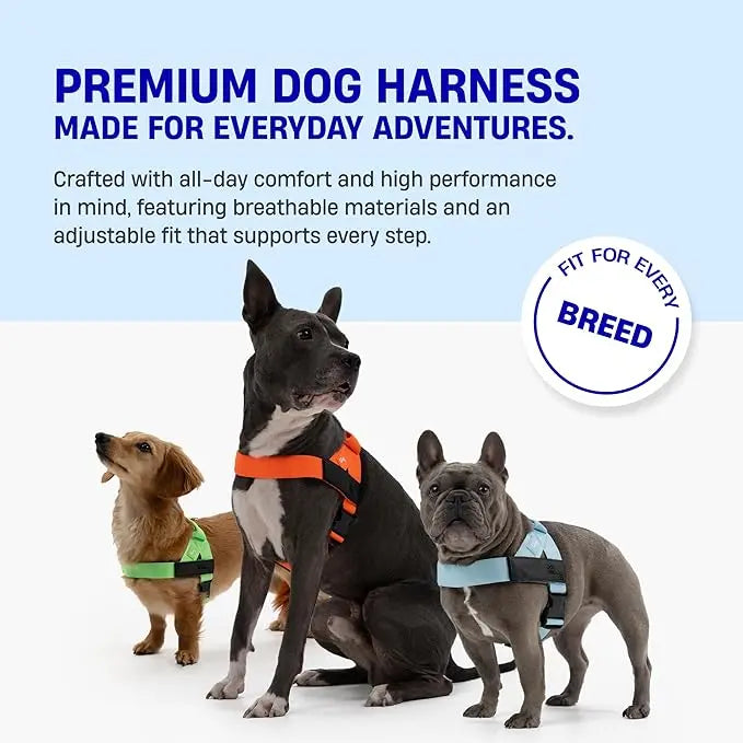 🐾 Dog Friendly Co. Harness– Safe, Secure & Ultra-Comfortable Fit for All Dogs