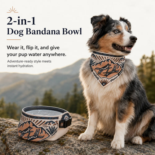 2-in-1 Reversible Dog Bandana Bowl