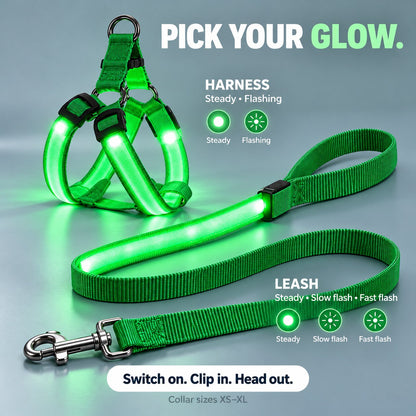 🐕 3-Piece Rechargeable LED Dog Walking Kit ✨ Light-Up Harness, Collar & Leash for Safer Night Walks！！！