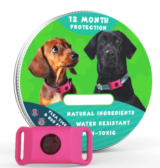 ⏰Last Day 70% OFF-🐕12 Months Flea and Tick Free