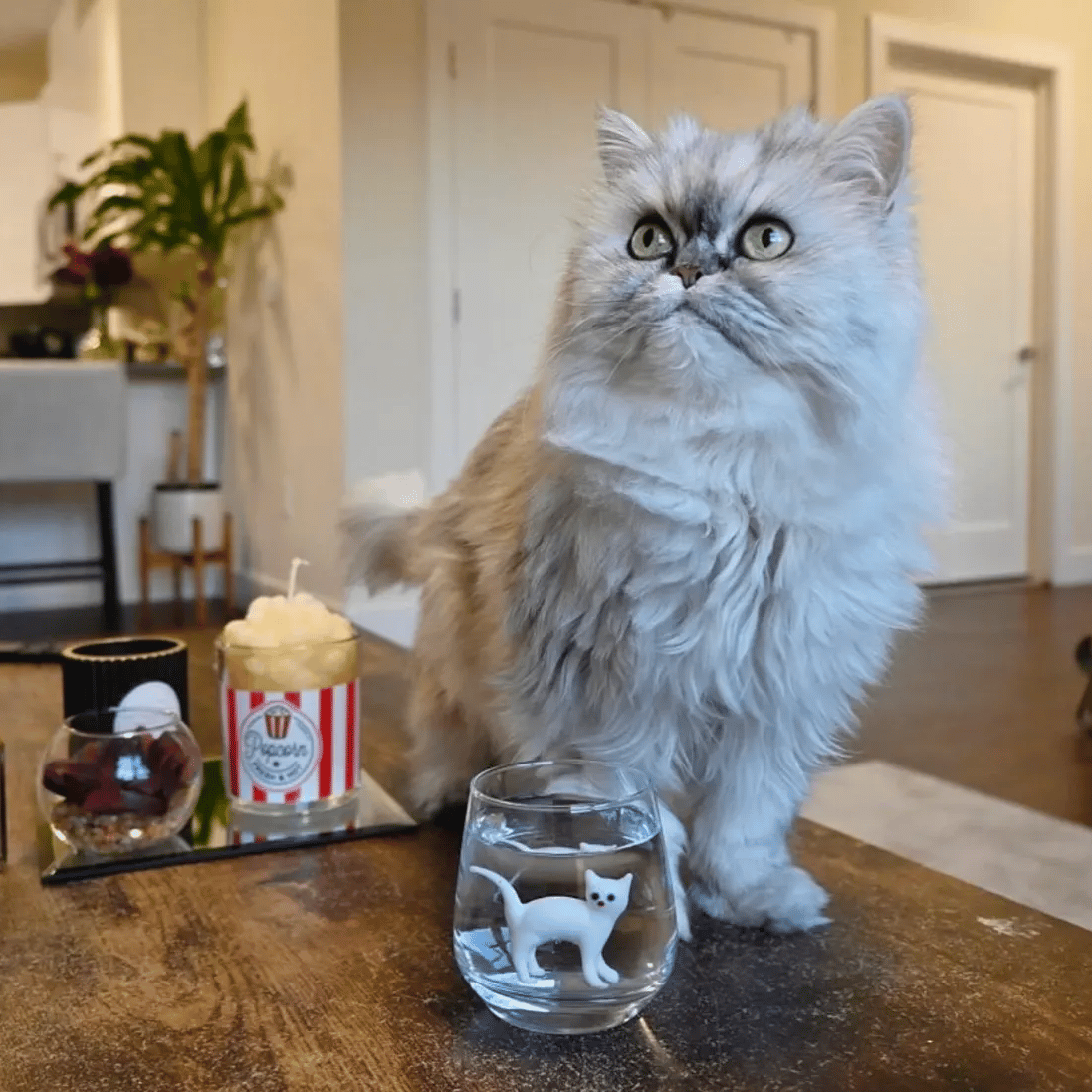 🐱 Handmade Murano-Style Cat Wine Glass – Whimsical Art Glass for Cat Lovers 🍷✨