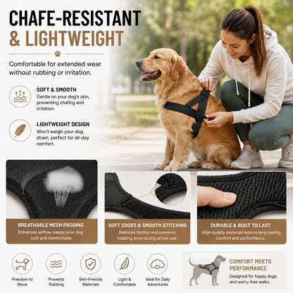 Dog Friendly Co. Harness — Easy-Fit No-Pull Design for Safe, Secure, and Comfortable Walks