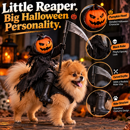 🎃 Spooky Rider™ – Funny Pumpkin Reaper Halloween Dog Costume