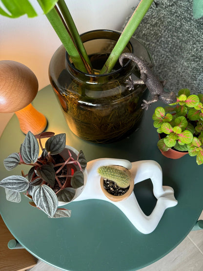 🏆Flash Sale⚡50K+ SOLD!😂Lazy Guy Pot🌵