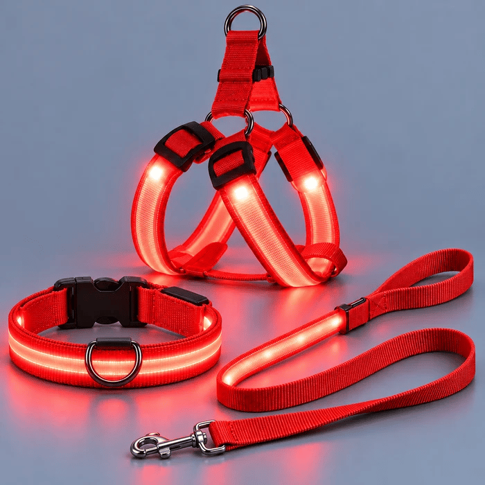 🐕 3-Piece Rechargeable LED Dog Walking Kit ✨ Light-Up Harness, Collar & Leash for Safer Night Walks！！！