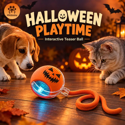 Interactive Cat & Dog Teaser Toy