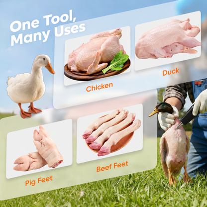 🦆🔥2026's best-selling products 🔥🐓 Poultry electric plucker - easy plucking, saves time and energy!