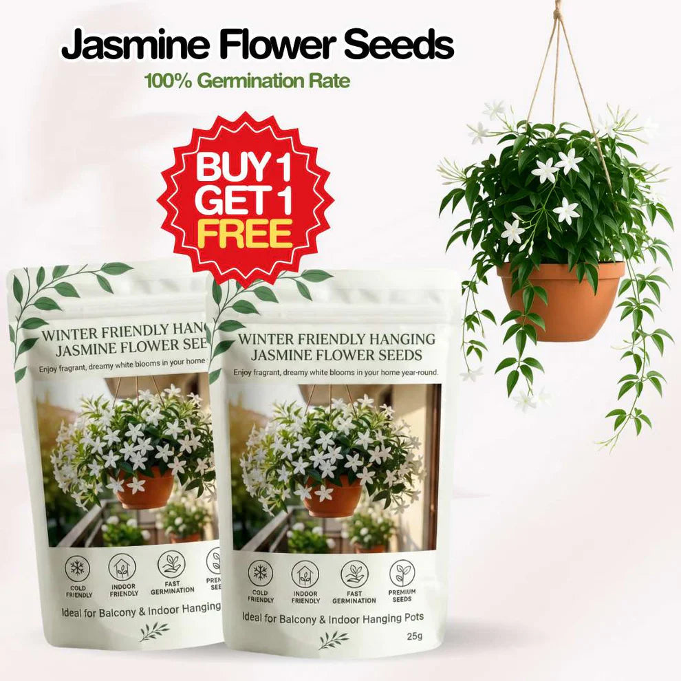 🏆Flash Sale⚡ 50K+ SOLD! Home Grow Jasmine Flower Seeds (Buy 1 Get 1 Free)