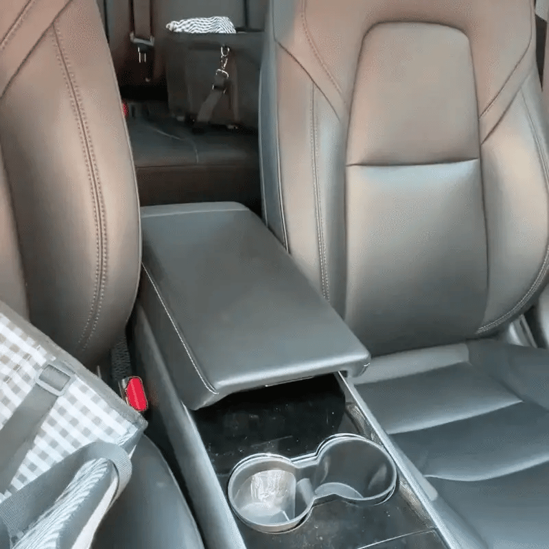 2-in-1 Pet Carrier & Console Pet Car Seat for Small Dogs and Cats