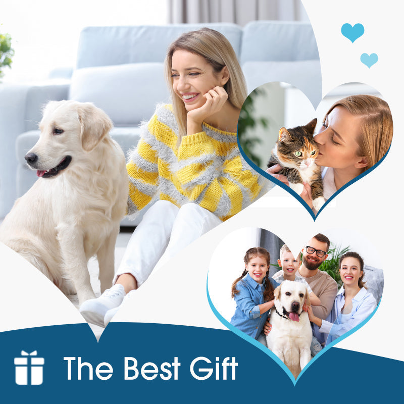 🎁💥LAST DAY SPECIAL PRICE! 🐶🐱 Ear cleaner, Relieves itching in dogs & cats