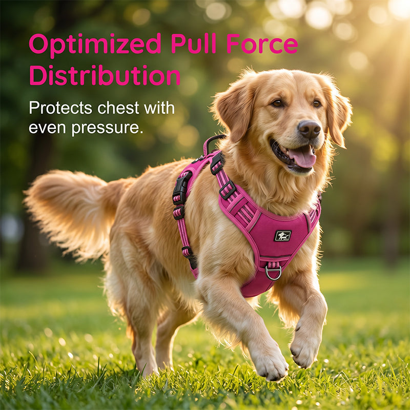 Outdoor Heavy-Duty Adjustable No-Pull Dog Harness with Control Handle