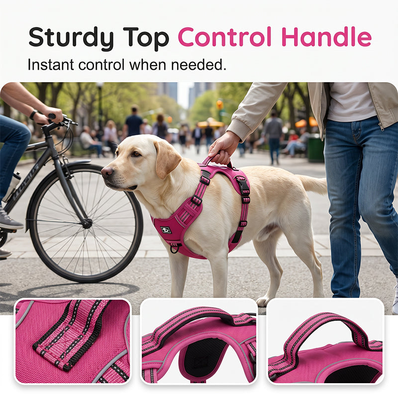 Outdoor Heavy-Duty Adjustable No-Pull Dog Harness with Control Handle