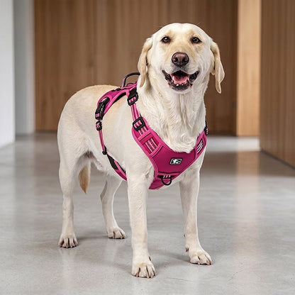 Outdoor Heavy-Duty Adjustable No-Pull Dog Harness with Control Handle