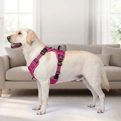 Outdoor Heavy-Duty Adjustable No-Pull Dog Harness with Control Handle