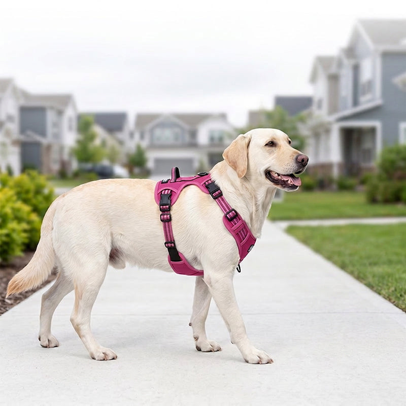 Outdoor Heavy-Duty Adjustable No-Pull Dog Harness with Control Handle