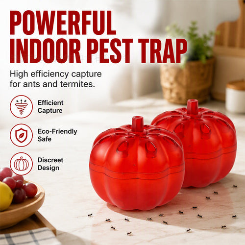 🎃 Pumpkin Fruit Fly Trap | 2/6 Pack