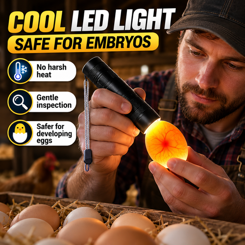 🥚 Rechargeable LED Egg Candler - Cool Light Embryo Inspection Tool 💡