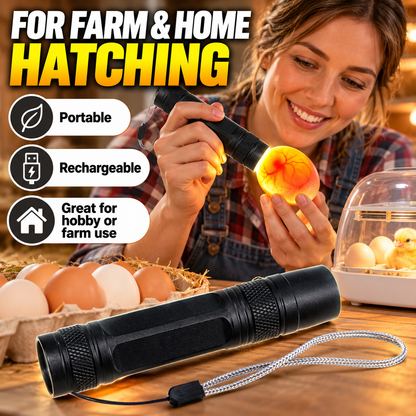 🥚 Rechargeable LED Egg Candler - Cool Light Embryo Inspection Tool 💡