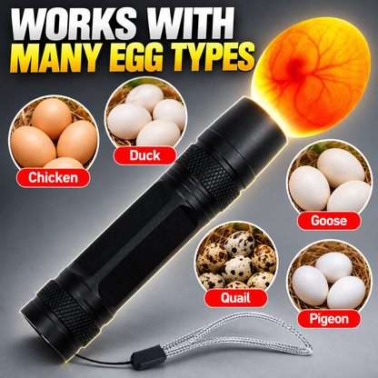 Rechargeable LED Egg Candler for Chicken and Quail Eggs